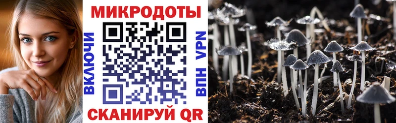 Псилоцибиновые грибы мицелий Верхняя Тура